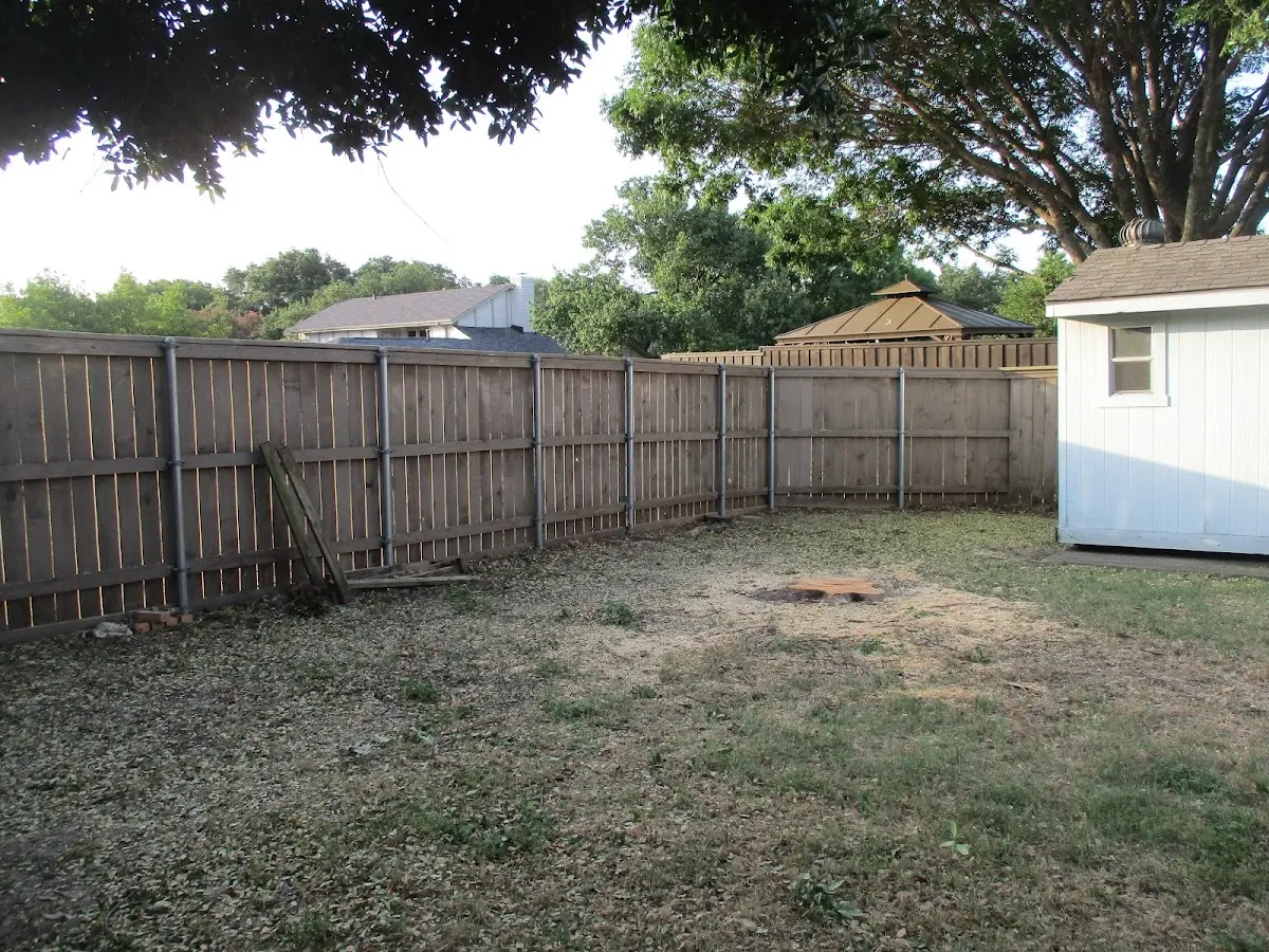 Cleared yard after professional tree removal in Five Points