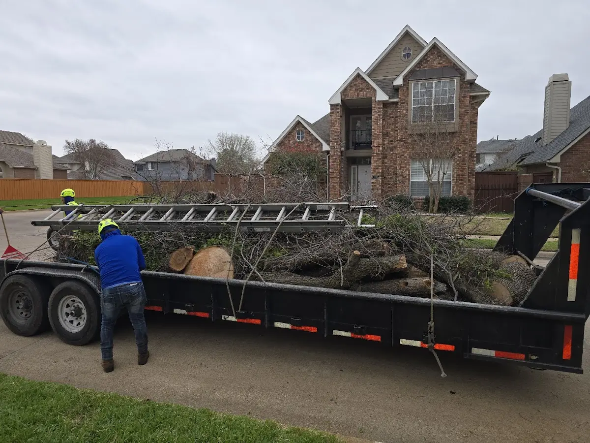 Expert Tree Fertilization with proper safety equipment in Five Points